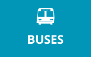 buses