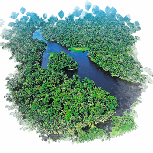 tortuguero-costa_rica