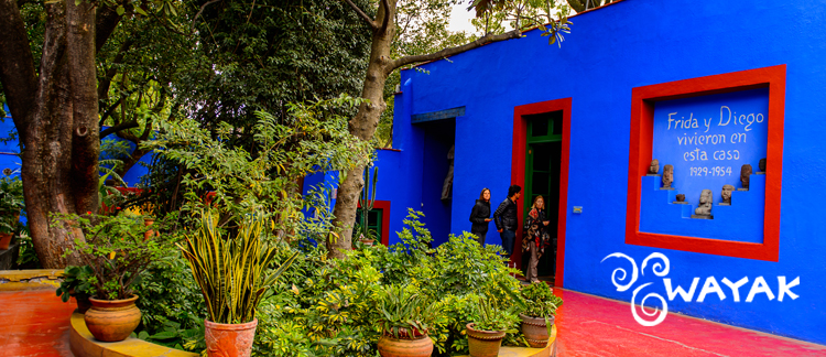 Museo frida kahlo