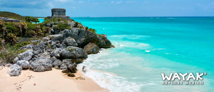 Daily Bilingual Tours To Coba Playa Paraiso And Tulum In Riviera Maya Tour Coba Playa Paraíso Tulum