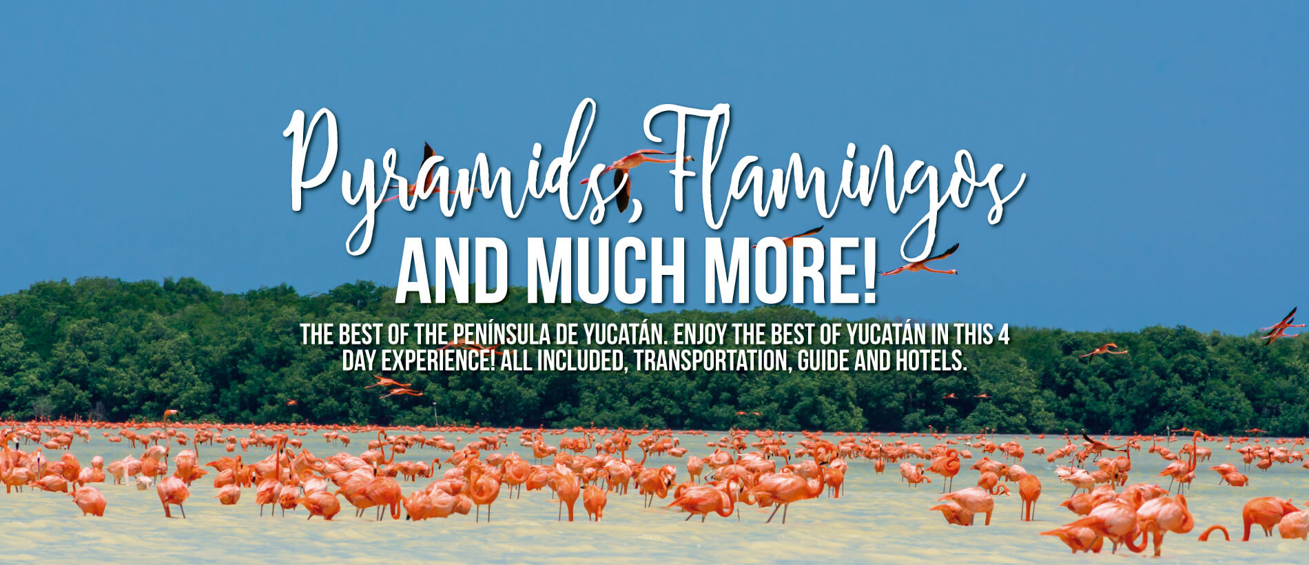 PyramidsFlamingos_Yucatan.jpg