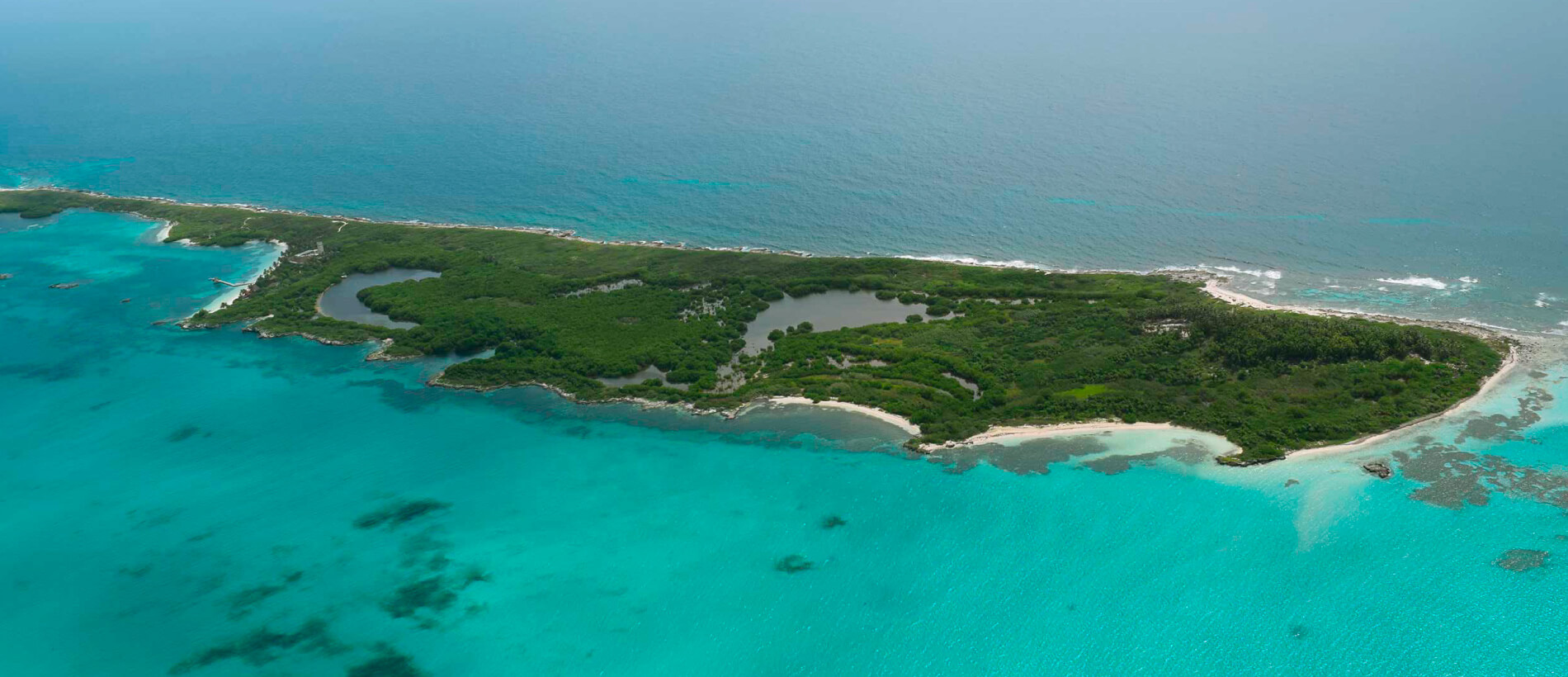 Tour Isla Contoy saliendo desde Playa del Carmen