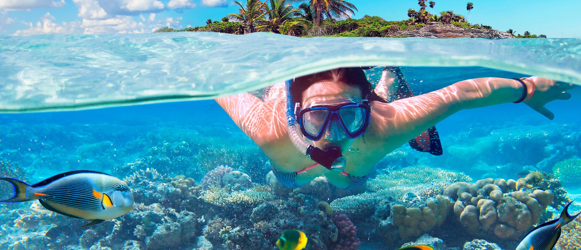 Snorkeling Morning Glory