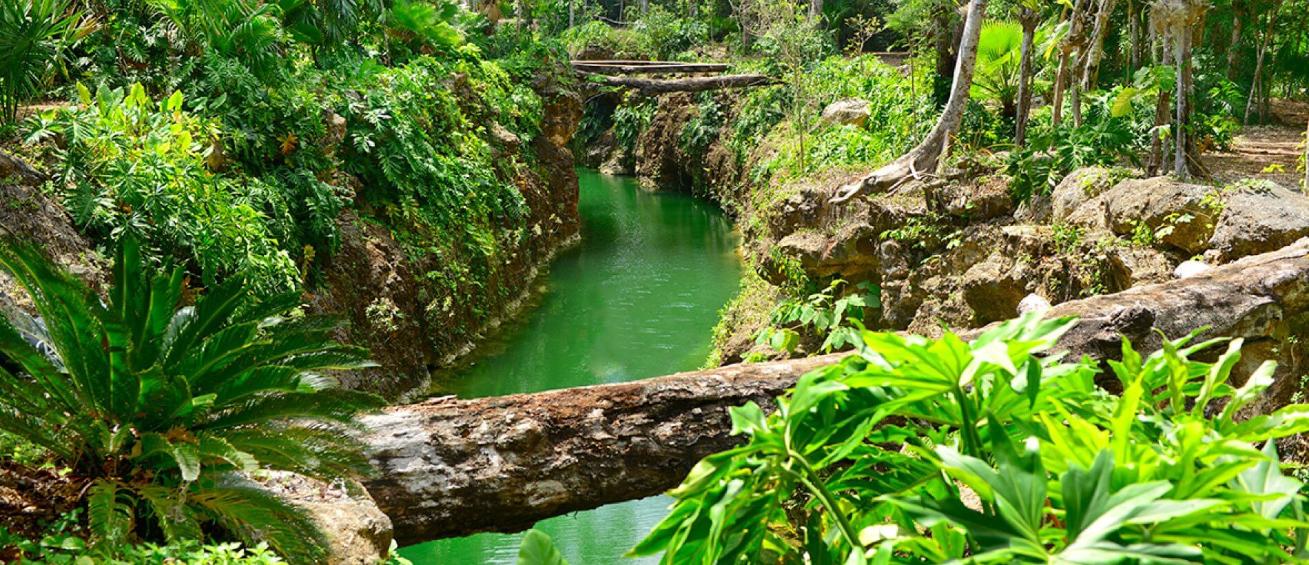 Xenotes Tour