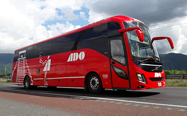 Buses